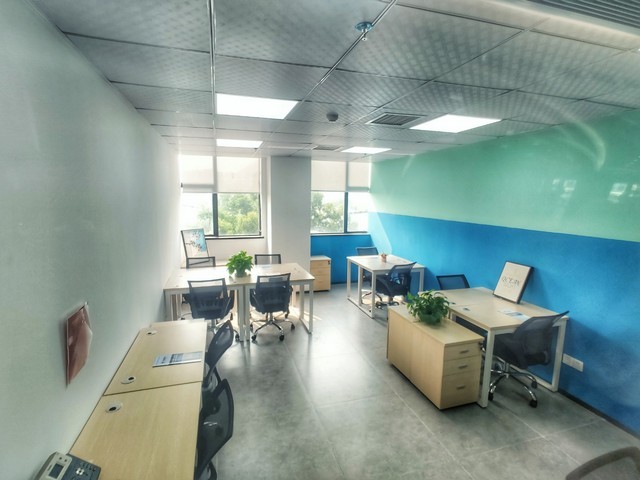 杨浦区商用绿植租赁公司