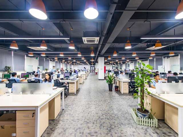 成都常见奇麟鲜品市场价