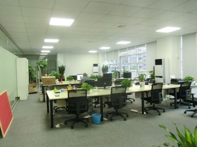 吉林放心考研通过率