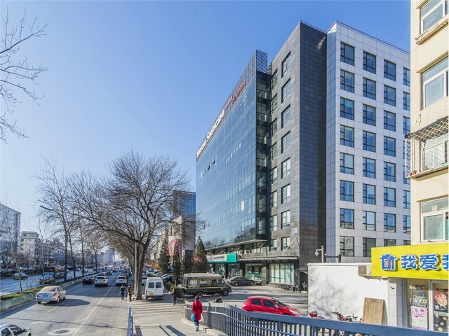 金山区吸甲醛植物租赁